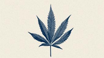 cannabis leaf