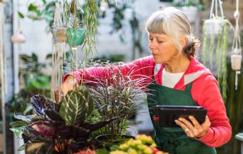 An older woman working in a green house